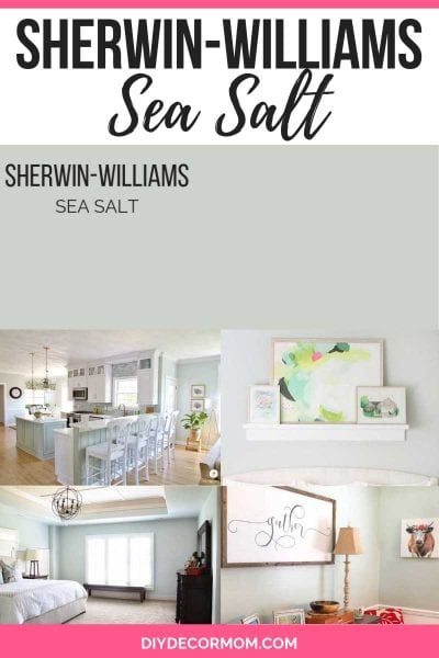 Sherwin Williams Sea Salt: The Perfect Coastal Paint Color - DIY Decor Mom